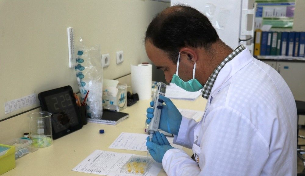Elisa testi ile hem korona hem antikor oranı tespit edilebilecek