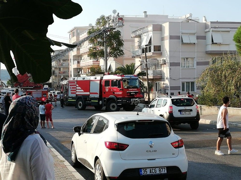 İzmir'de 5 yavru kedi alevlerin arasında kaldı