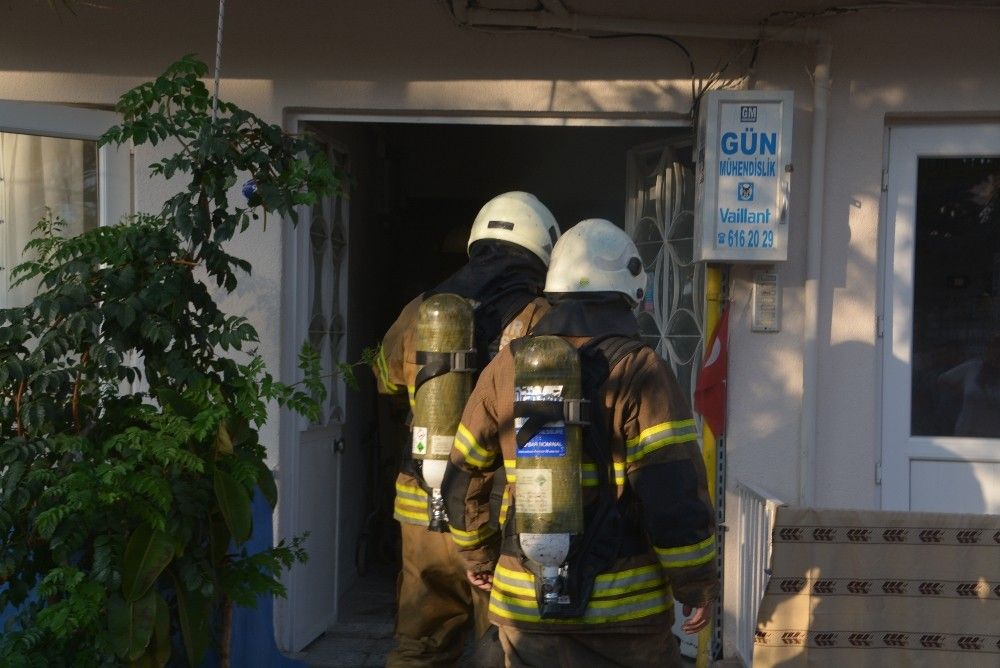 İzmir'de 5 yavru kedi alevlerin arasında kaldı