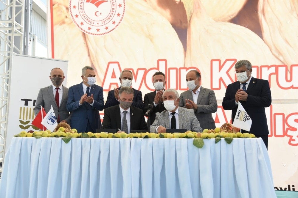Kuru incirin tadı yok: Rekolte düştü, üretici mutsuz