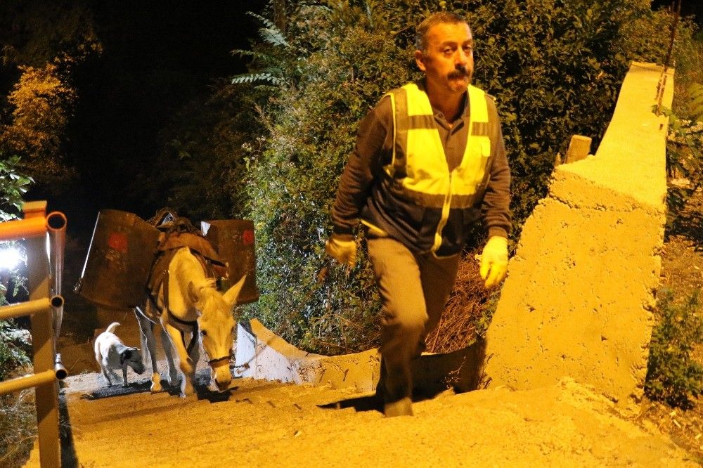 Merdivenli şehrin çöpçü katırları son kez görevde