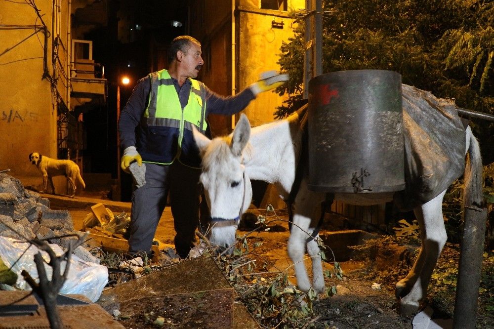 Merdivenli şehrin çöpçü katırları son kez görevde