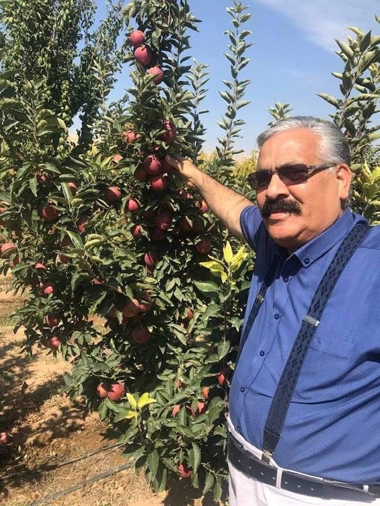Mut elması Hindistan'a ihraç ediliyor