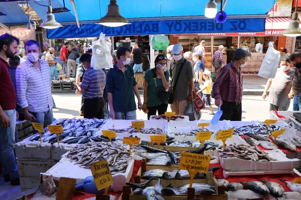 Palamut birinci gün 4 liraya düştü