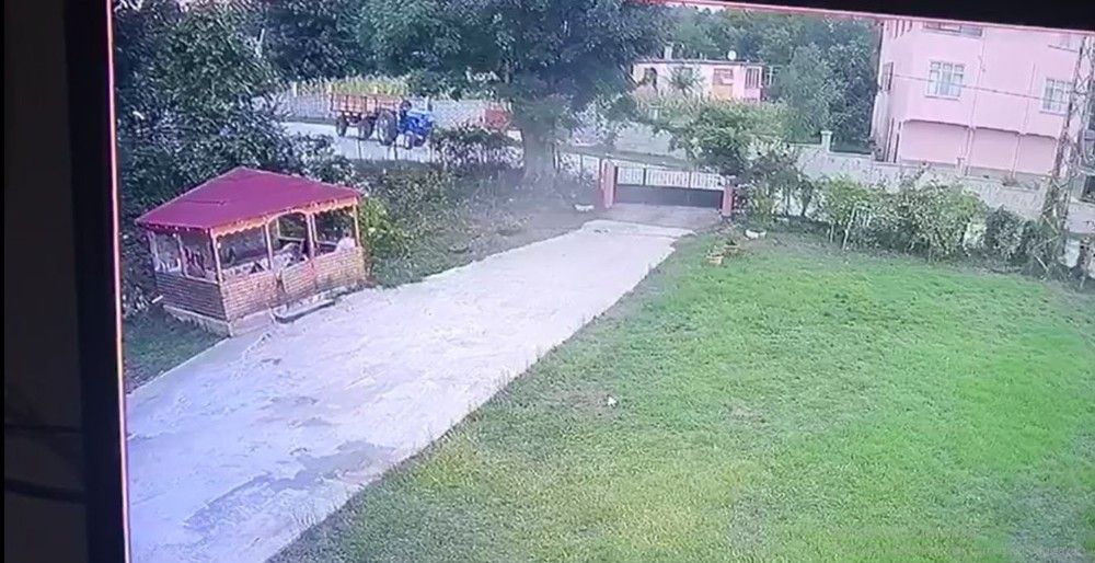 Traktörde arı soktu, hayatını kaybetti