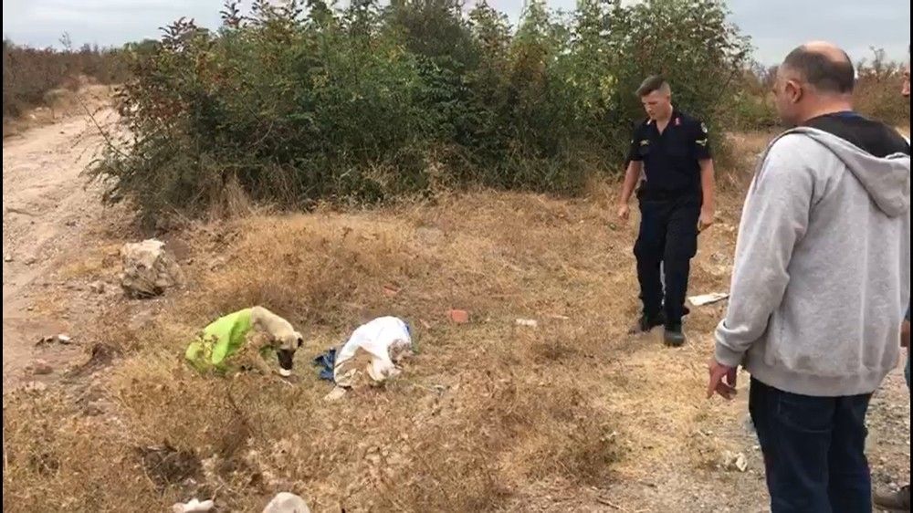 Vahşetin böylesi... Çuvala koyup ölüme terkettiler