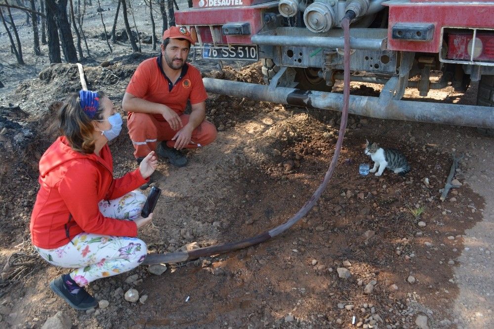 Yangından 'Ateş'i kurtardılar