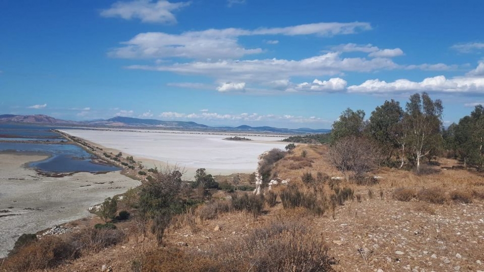 "İzmir Kuş Cenneti ihya değil, imha oluyor"