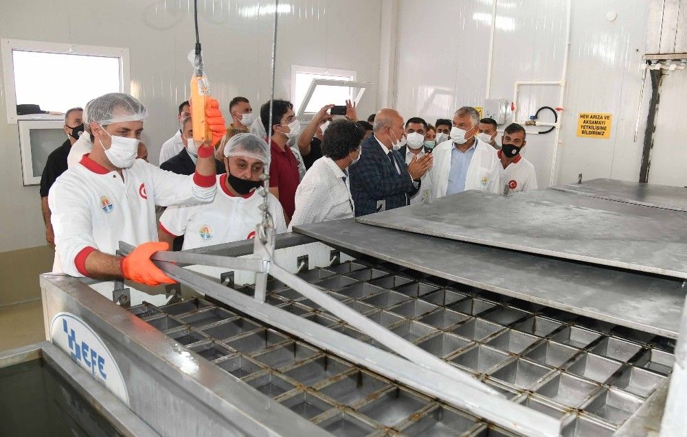 Adana Büyükşehir "buz"dan kazanacak