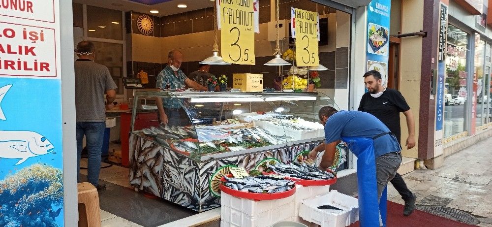 Düzce'de palamut 3,5 liraya kadar düştü