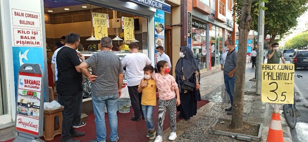 Düzce'de palamut 3,5 liraya kadar düştü