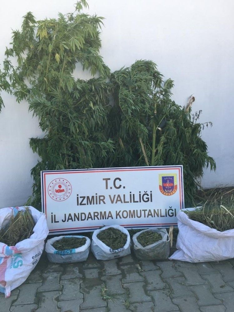 İzmir'de 8,5 kilogram uyuşturucu ele geçirildi