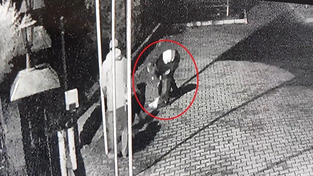 Kalp masajı ile dönen 'Garip', çocukların sevgilisi oldu