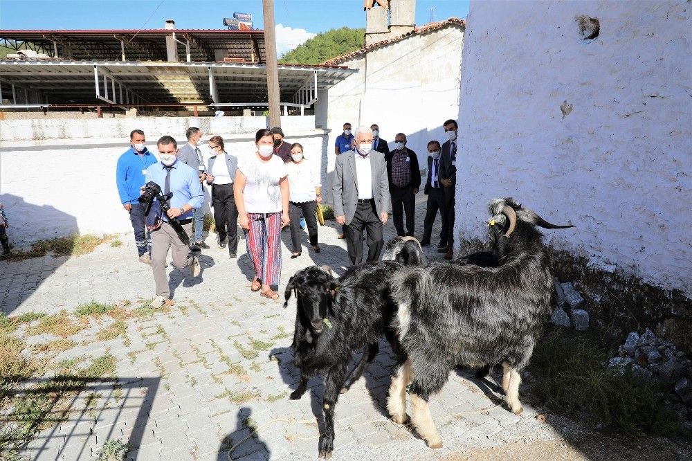 "Muğla, turizmden daha fazlasını tarımdan kazanabilir"