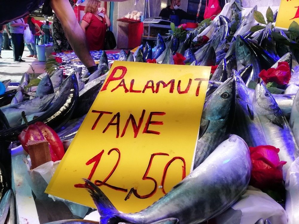Palamut büyüyor, fiyatı küçülüyor