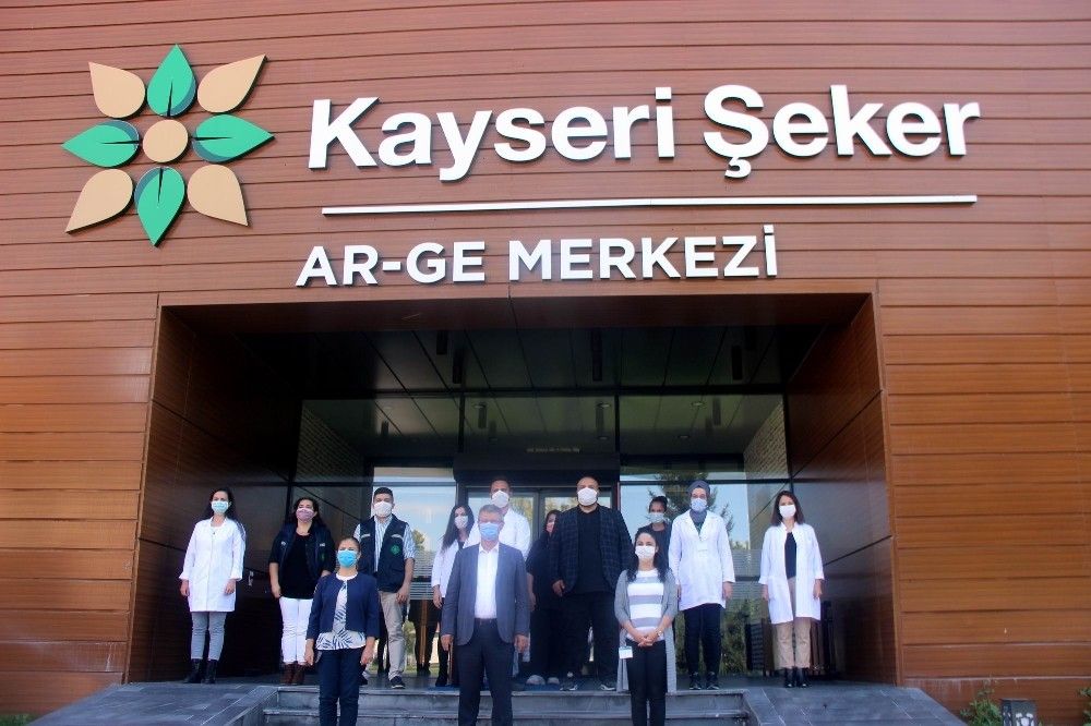 Şekere yerli tohum geliyor