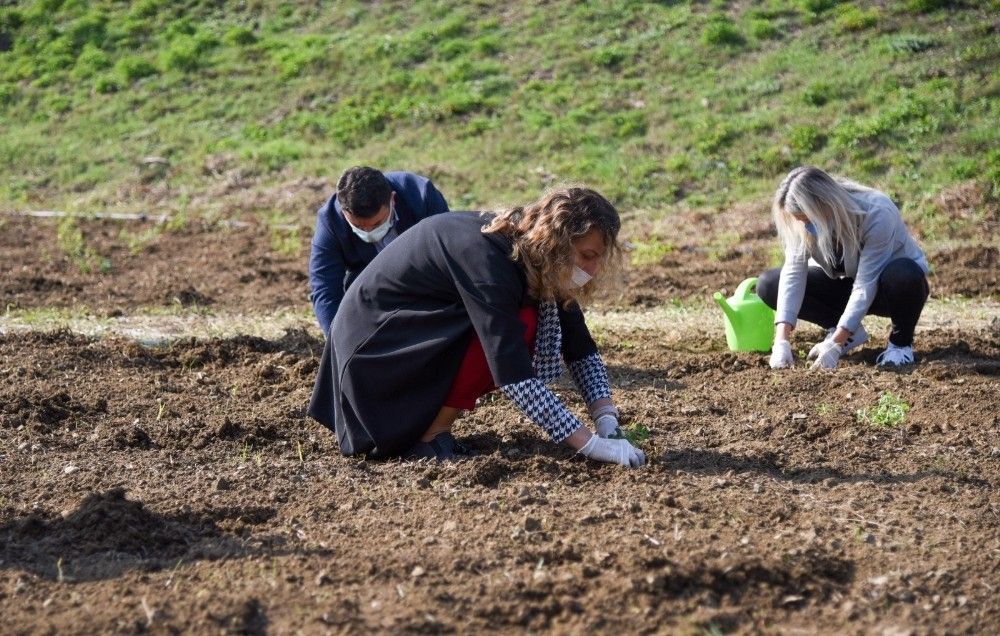Tıbbi ve aromatik bitkiler toprakla buluştu