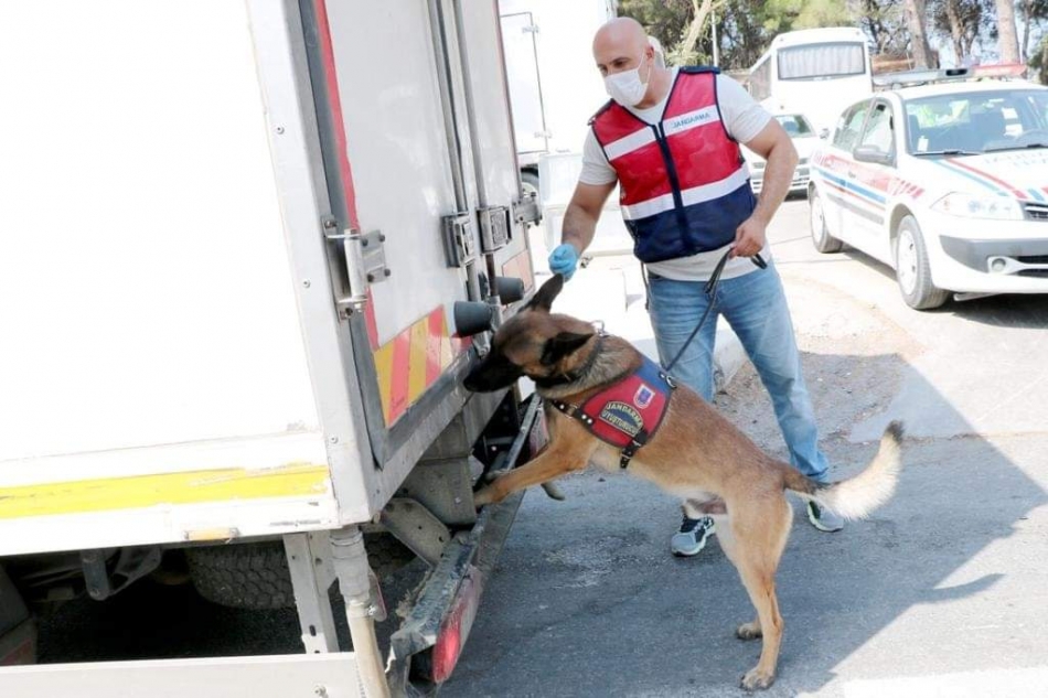 Jandarmadan bir ayın bilançosu