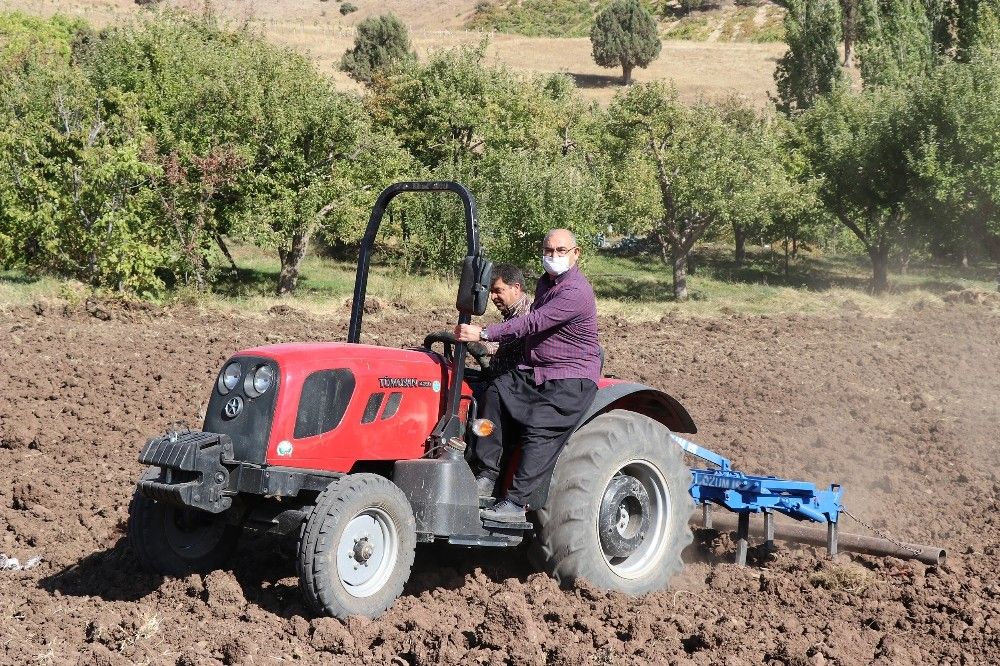 Başkan şalvarını giyip karakılçık buğdayı ekti