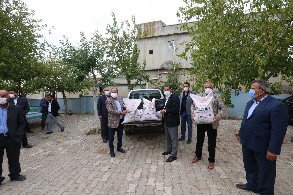 Büyükşehir sertifikalı tohum üretimine devam ediyor