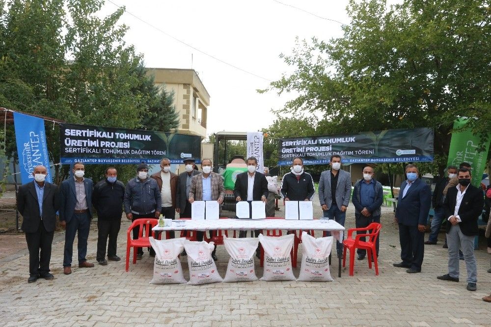 Büyükşehir sertifikalı tohum üretimine devam ediyor