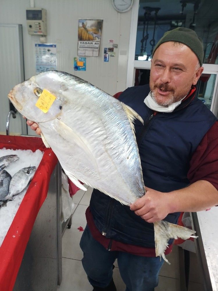 Dev İskender balığı görenleri şaşkına cevirdi