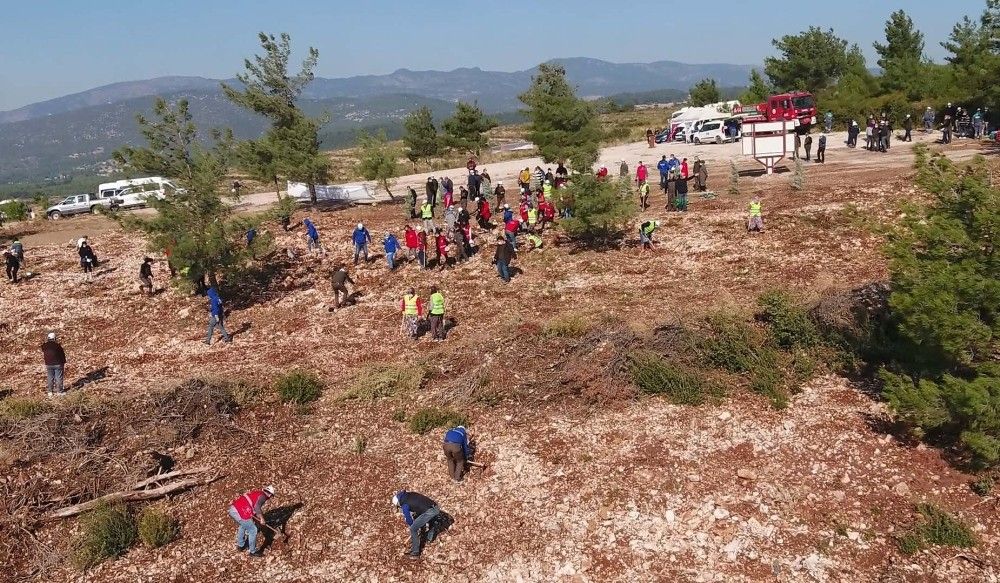 İzmir'de 30 noktada 20 bin fidan toprakla buluştu