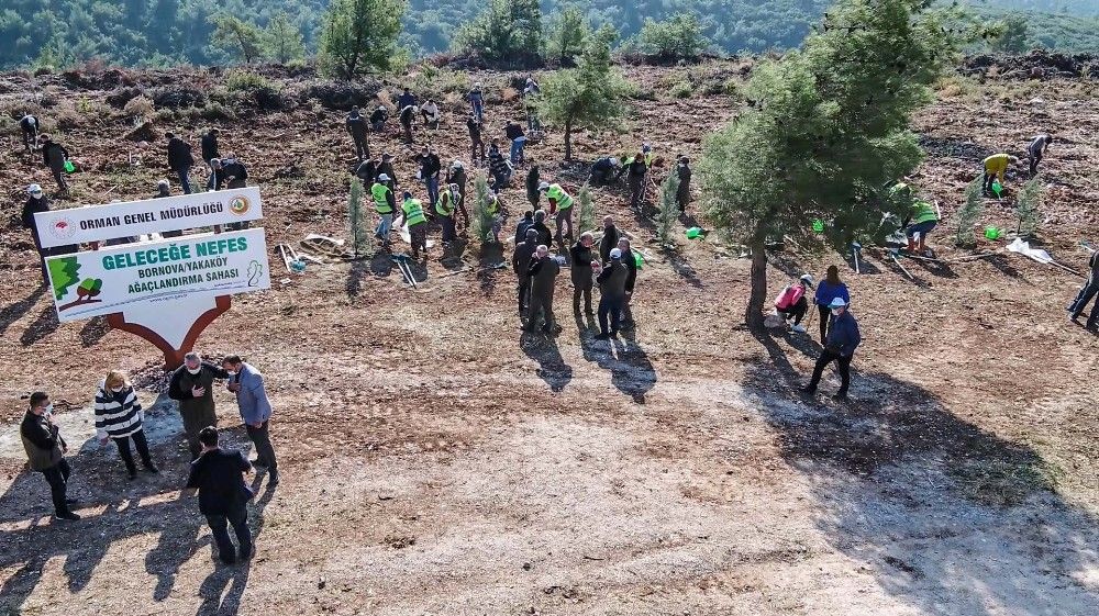 İzmir'de 30 noktada 20 bin fidan toprakla buluştu