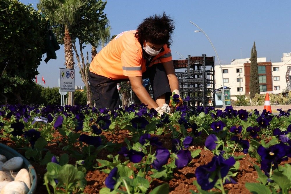 Mersin'de 800 bin çiçek toprakla buluşturulacak