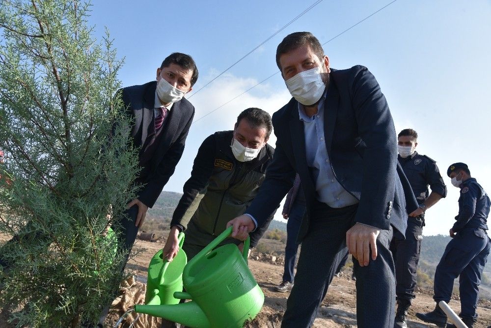 Sındırgı'da 10 bin fidan toprakla buluştu
