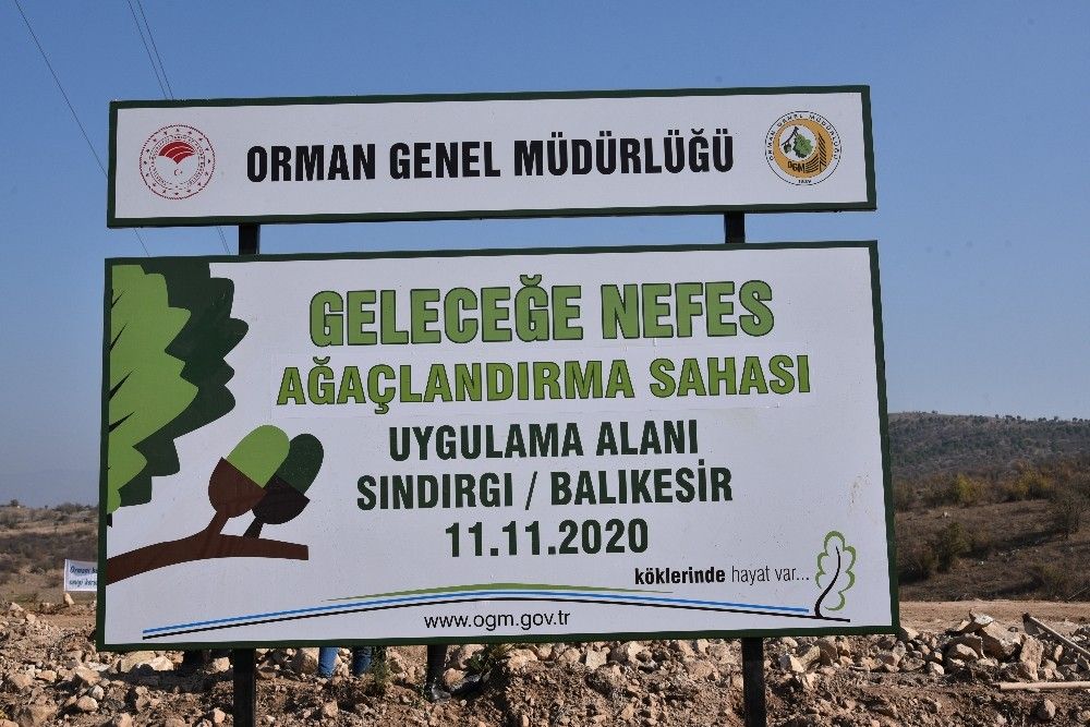 Sındırgı'da 10 bin fidan toprakla buluştu
