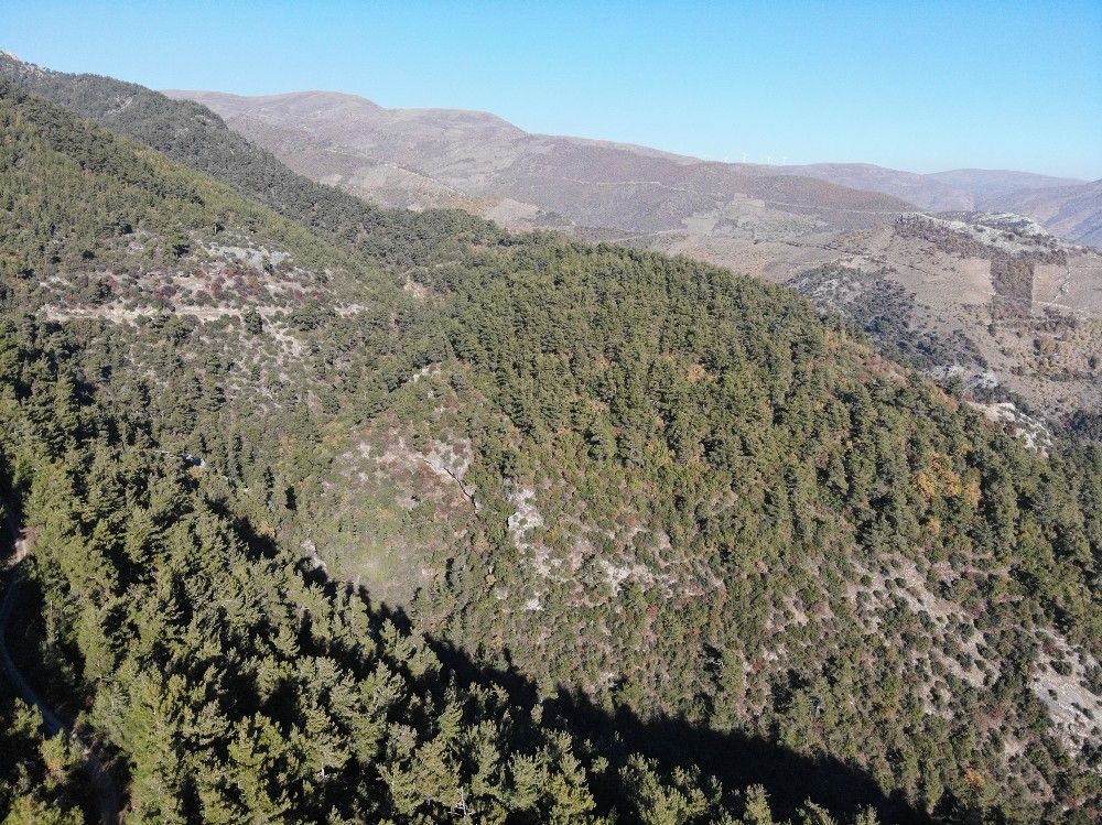 Yangından değil, kuraklıktan kavrulmaya başladılar