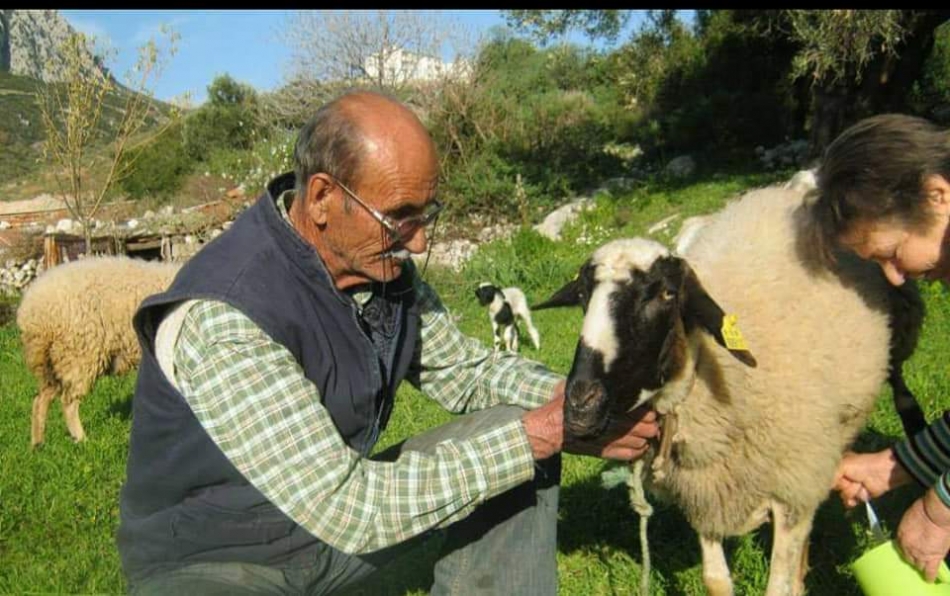 Kore Gazisi, eşinden iki gün sonra vefat etti