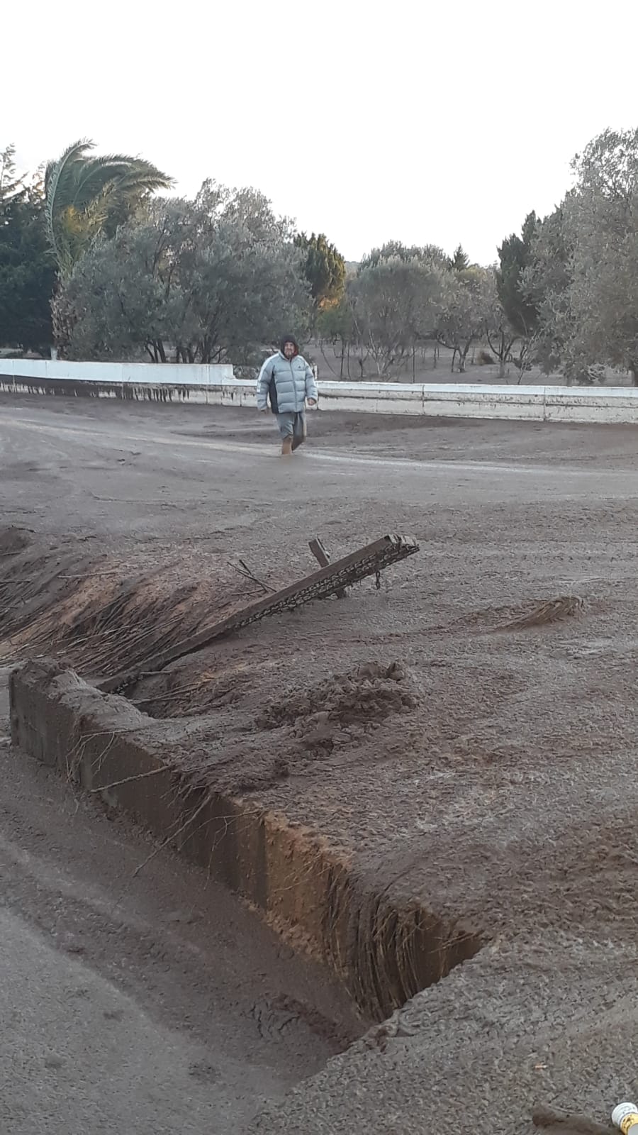 Ayvalık'ta çevre felaketi! Duvar yıkıldı, karasu dereye aktı