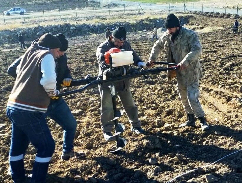 Belediye organik üzüm bağı kurdu