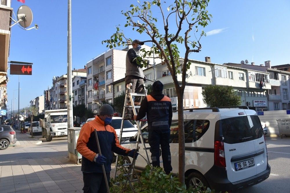 Gemlik Belediyesi kısıtlamayı fırsata çevirdi