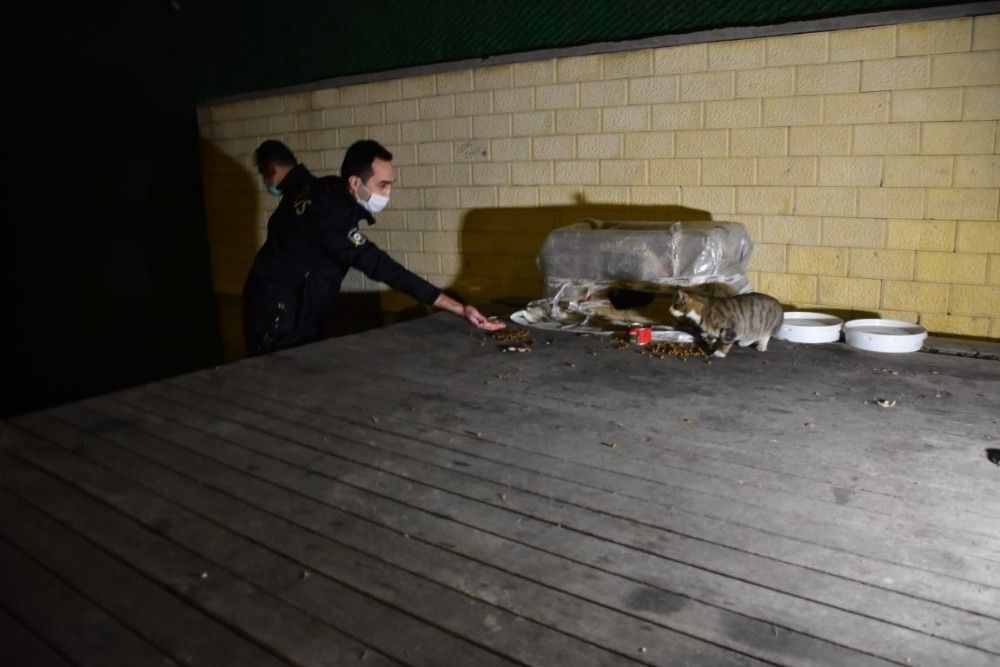İzmir'de aç kalan hayvanları polisler besledi