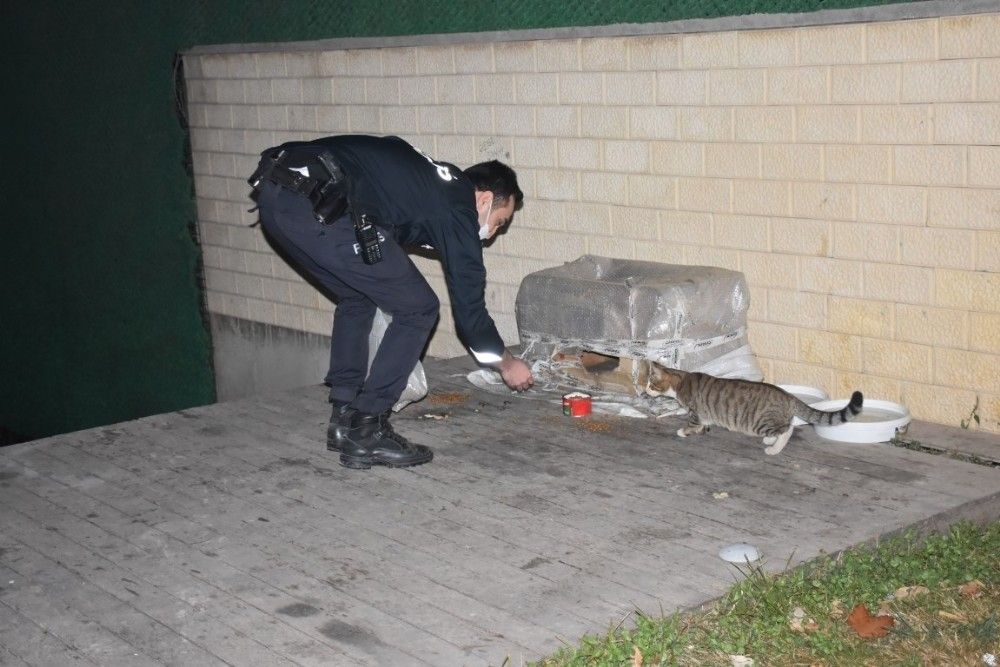 İzmir'de aç kalan hayvanları polisler besledi