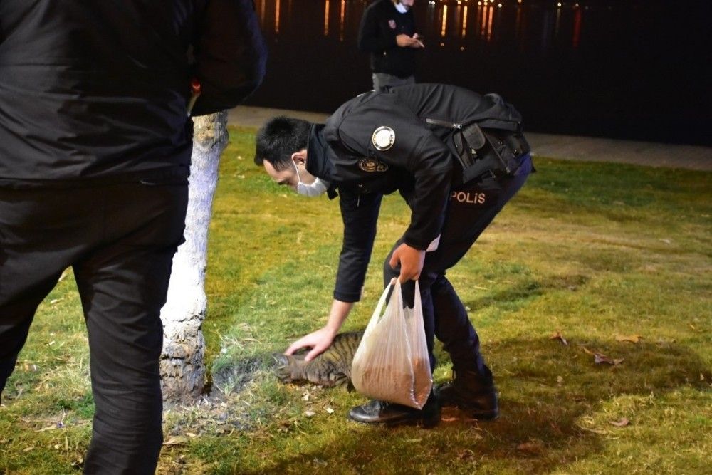 İzmir'de aç kalan hayvanları polisler besledi