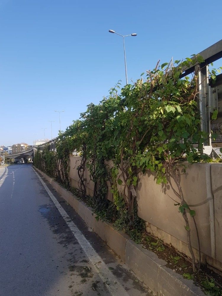 Kent merkezinde kapsamlı bakım-onarım