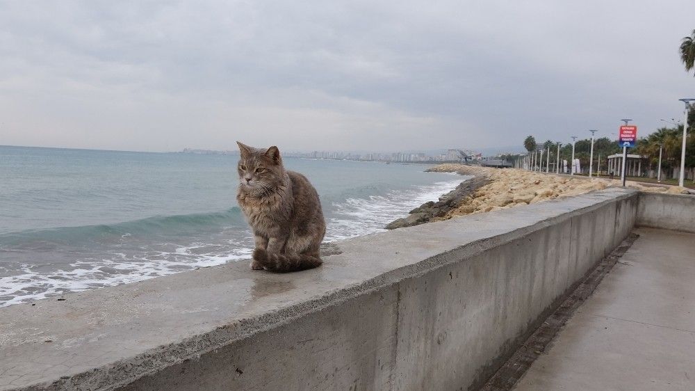 Mersin'de sokaklar yine sessiz kaldı