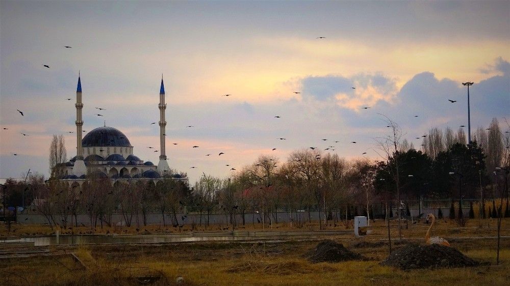 Özgürlüğe kanat çırpmak için ilkbaharı bekliyorlar