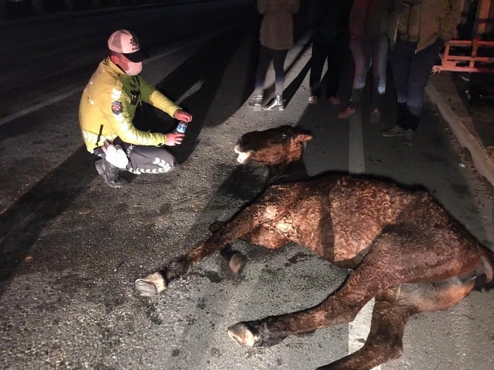 Soğukta saatlerce tedavi edilmeyi bekledi