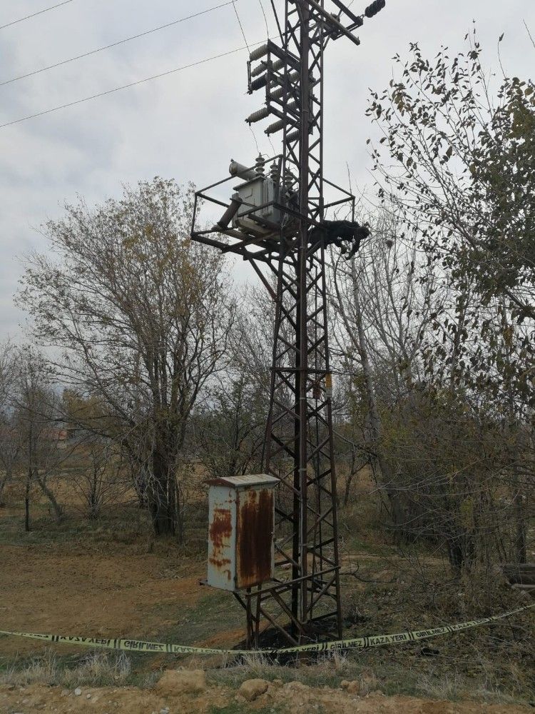 Trafo üzerinde yanmış halde bulundu