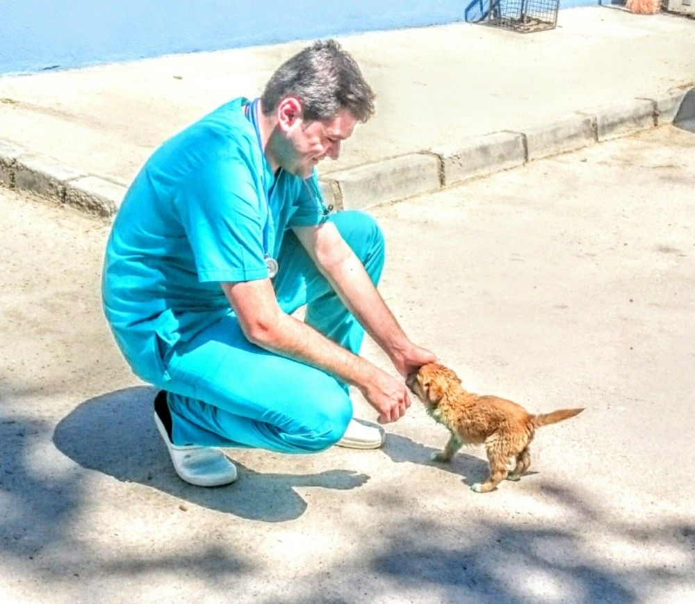 2 aylık iken yaralı bulunan Lady, 5 yıl sonra yuvaya döndü
