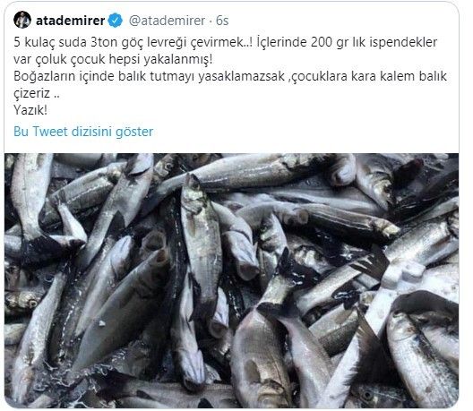 Ata Demirer: Boğazda balık avlamak yasaklansın