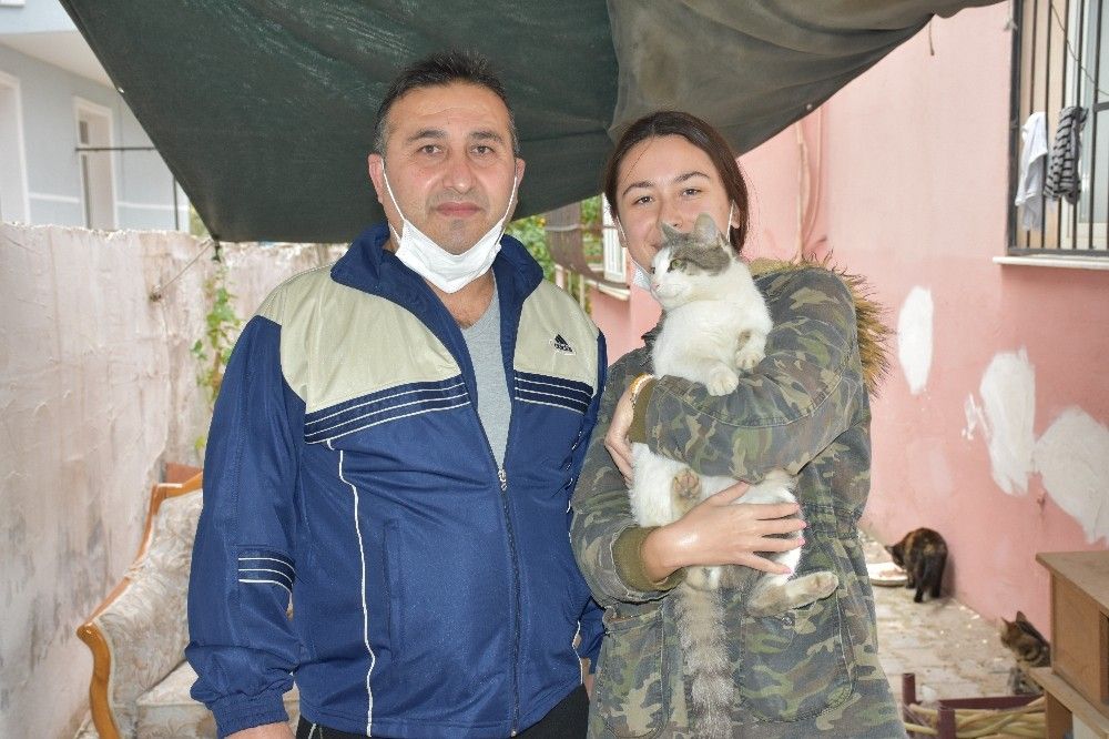Berrak, 50 kedi ve 15 köpeğe sahip çıktı