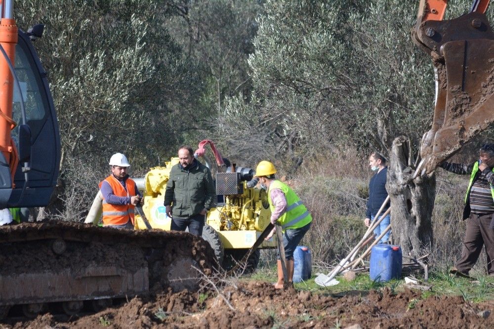 Cunda'da tesadüfen bulundu, kazı başlatıldı