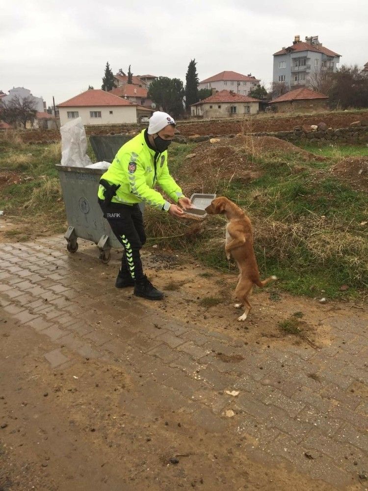 Eşme'de sokak hayvanları beslendi