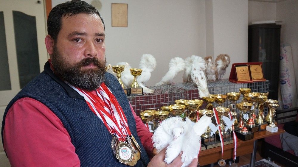 Ev araba parasına güvercin